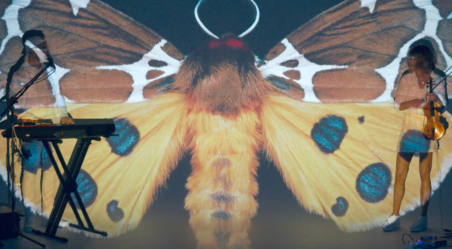 "The Moth Project" is a blend of visuals and music—and it's all inspired by moths. It takes place on Friday, August 12 at the Cochecton Pump House.